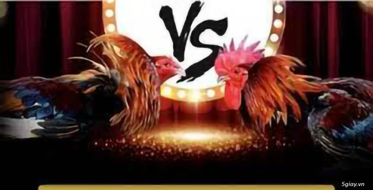 Tiêu đề: Đá Gà 58Win Trở Thành Xu Hướng Giải Trí Trực Tuyến Mới 1 Tiêu đề: Đá Gà 58Win Trở Thành Xu Hướng Giải Trí Trực Tuyến Mới