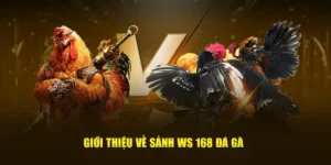 Hướng Dẫn Cách Chơi Đá Gà WS168 Tại 58Win Cho Người Mới 2 Hướng Dẫn Cách Chơi Đá Gà WS168 Tại 58Win Cho Người Mới