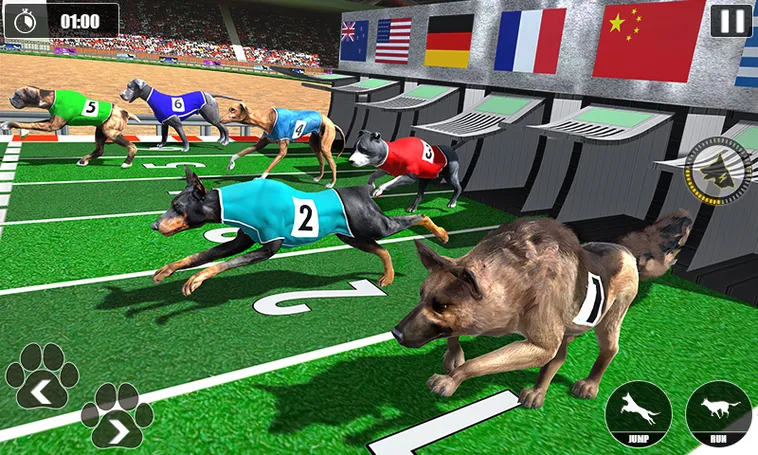Cách Chơi Game Nhanh Đua Chó Tại 58Win Hiệu Quả Nhất 2025 2 Cách Chơi Game Nhanh Đua Chó Tại 58Win Hiệu Quả Nhất 2025